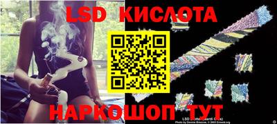 гашик Моздок
