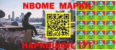 гашик Моздок