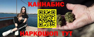 гашик Моздок