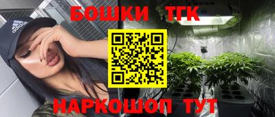 тгк Можайск