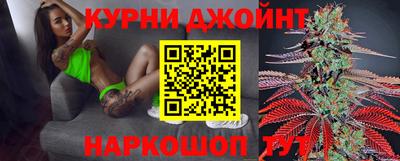 гашик Моздок