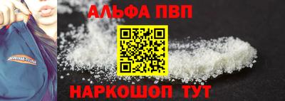 гашик Моздок