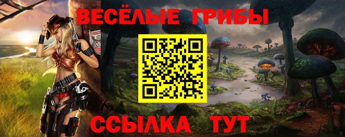 Псилоцибиновые грибы ЛСД Евпатория