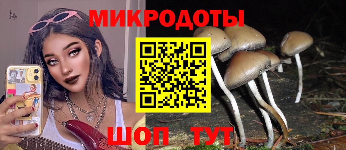Евпатория  Псилоцибиновые грибы прущие грибы  Вход с VPN  Галлюциногенные грибы ЛСД 